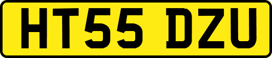 HT55DZU