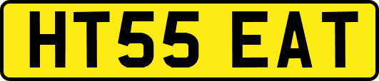 HT55EAT