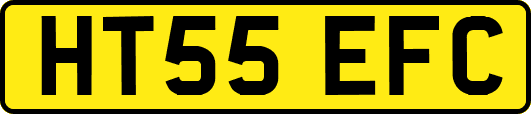 HT55EFC