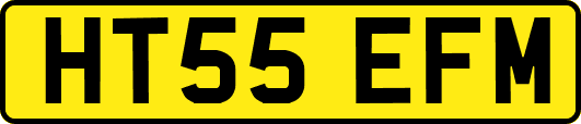 HT55EFM
