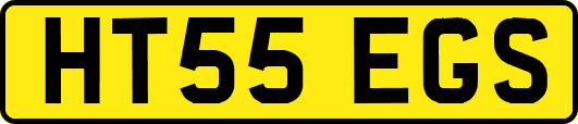 HT55EGS