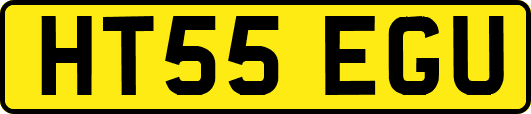 HT55EGU