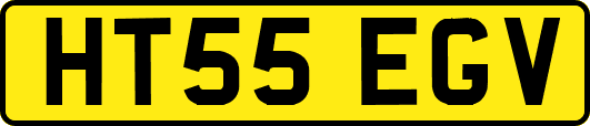 HT55EGV