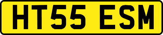 HT55ESM