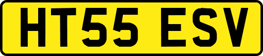 HT55ESV