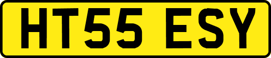 HT55ESY