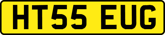 HT55EUG