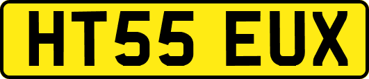 HT55EUX