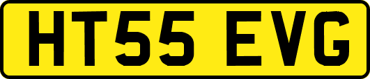 HT55EVG