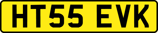 HT55EVK