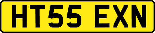 HT55EXN