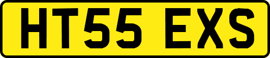 HT55EXS