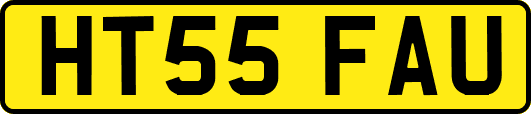 HT55FAU