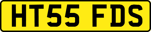 HT55FDS