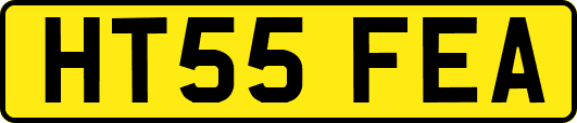 HT55FEA