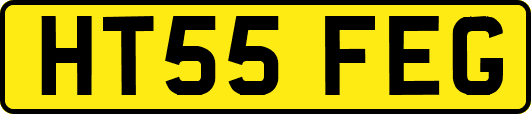HT55FEG