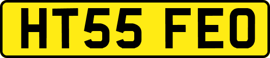 HT55FEO