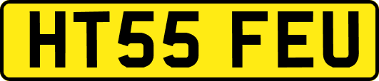 HT55FEU