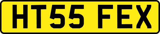 HT55FEX