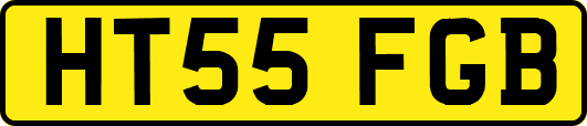HT55FGB