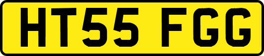 HT55FGG