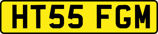 HT55FGM