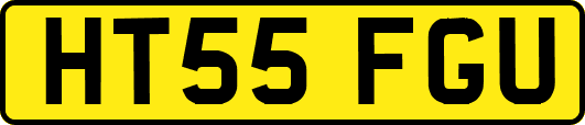 HT55FGU
