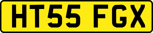 HT55FGX