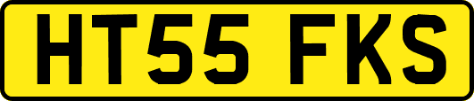 HT55FKS