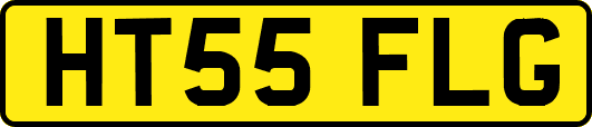 HT55FLG