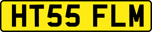 HT55FLM