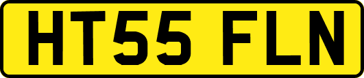 HT55FLN