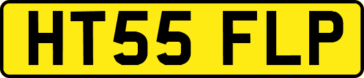 HT55FLP