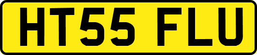 HT55FLU