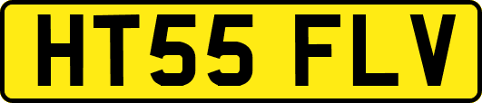 HT55FLV