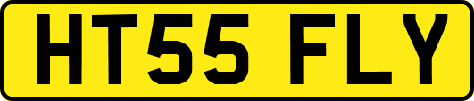 HT55FLY