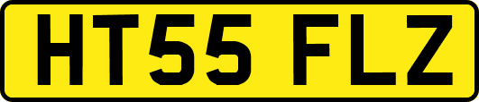 HT55FLZ