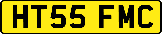 HT55FMC