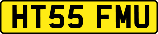 HT55FMU