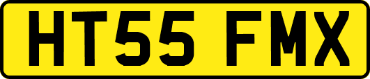 HT55FMX