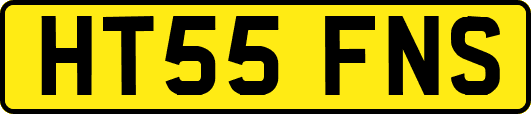 HT55FNS