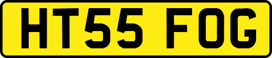HT55FOG