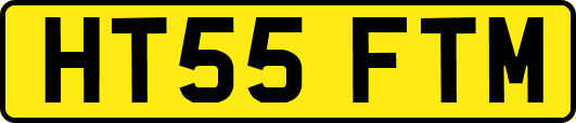 HT55FTM