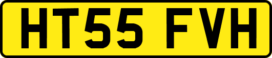 HT55FVH