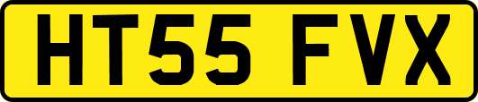 HT55FVX
