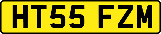 HT55FZM