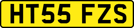 HT55FZS