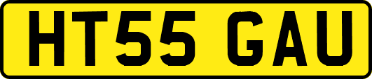 HT55GAU