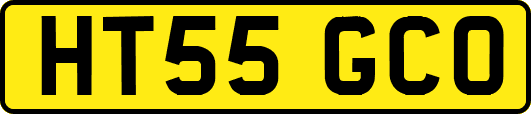 HT55GCO