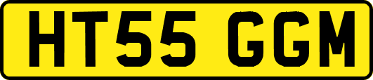 HT55GGM